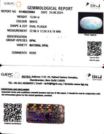 Load image into Gallery viewer, 13.94/CT Natural Fire Opal with Govt. Lab Certificate-6771