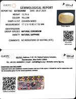 Load image into Gallery viewer, 13.78/CT Natural Ceylonese Pukhraj with Govt Lab Certificate-4551