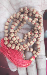 Load image into Gallery viewer, SIX MUKHI RUDRAKSHA MALA (1600)