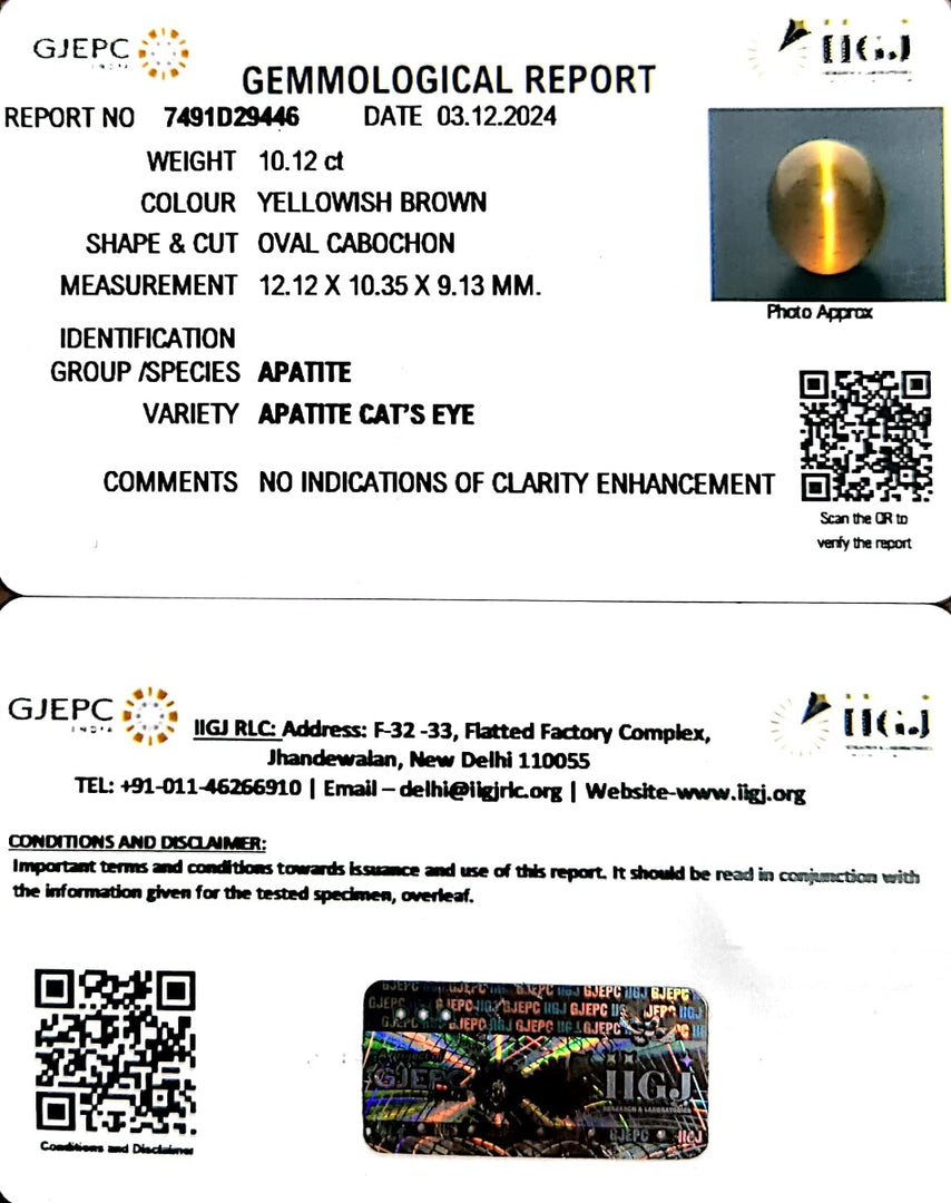 10.12/CT Natural Apatite Cat's Eye with Govt. Lab certificate-1221