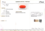 Load image into Gallery viewer, 9.05/Carat Natural Red Coral (2100)