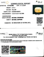 Load image into Gallery viewer, 5.47/CT Natural Ceylonese Pukhraj with Govt Lab Certificate-6771