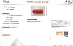 Load image into Gallery viewer, 7.41/Carat Natural Cylindrical Red Coral (1800)