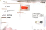 Load image into Gallery viewer, 6.60/Carat Natural Cylindrical Red Coral (1800)