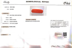 Load image into Gallery viewer, 6.56/Carat Natural Cylindrical Red Coral (1800)
