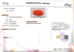 Load image into Gallery viewer, 8.36/Carat Natural Japanese Red Coral (6200)