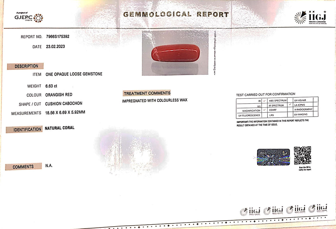 6.63/Carat Natural Cylindrical Red Coral (1500)