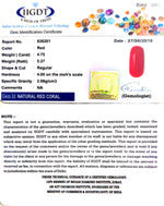 Load image into Gallery viewer, Natural Italian Moonga