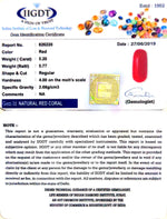 Load image into Gallery viewer, Natural Italian Moonga