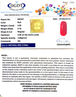 Load image into Gallery viewer, Natural Italian Moonga