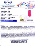 Load image into Gallery viewer, Natural Italian Moonga