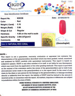 Load image into Gallery viewer, 5.10/CT Natural Italian Moonga