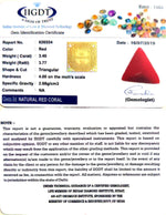 Load image into Gallery viewer, 3.78 Ratti Italian Red Coral-(1054)