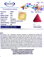 Load image into Gallery viewer, 3.72 Ratti Italian Red Coral-(1054)
