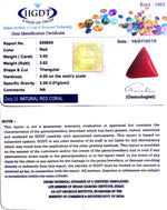 Load image into Gallery viewer, 3.83 Ratti Italian Red Coral-(1054)