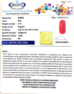 Load image into Gallery viewer, Natural italian Moonga