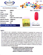 Load image into Gallery viewer, Natural Italian Moonga