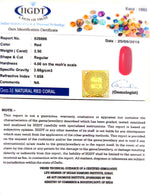 Load image into Gallery viewer, Natural Italian Moonga