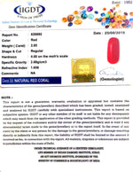 Load image into Gallery viewer, Natural Italian Moonga