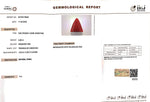 Load image into Gallery viewer, 5.55/CT Natural Triangular Red Coral (1800)