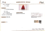 Load image into Gallery viewer, 6.44/CT Natural Triangular Red Coral (1800)