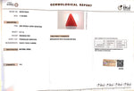 Load image into Gallery viewer, 6.32/CT Natural Triangular Red Coral (1800)