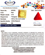 Load image into Gallery viewer, 4.70/CT Natural Triangular Red Coral-1054
