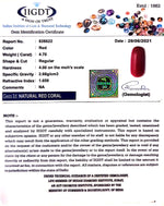 Load image into Gallery viewer, 5.21 Ratti italian Red Coral