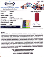 Load image into Gallery viewer, 5.32 Ratti italian Red Coral