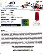 Load image into Gallery viewer, 4.99 Ratti italian Red Coral