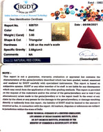 Load image into Gallery viewer, 3.60/CT Natural Triangular Red Coral-1054