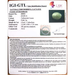 Load image into Gallery viewer, Natural Chrysoberyl Cat's Eye