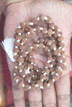 Load image into Gallery viewer, EIGHT MUKHI RUDRAKSHA MALA (3400)