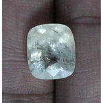 Load image into Gallery viewer, Pukhraj-(8991)