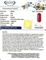 Load image into Gallery viewer, 5.35/Carat Natural Cylindrical Red Coral-943