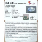 Load image into Gallery viewer, Pitambari Neelam-4551