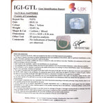 Load image into Gallery viewer, Pitambari Neelam -4551