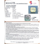 Load image into Gallery viewer, 9.51 Ratti Natural yellow sapphire with Govt Lab Certificate-(YELSA9T)
