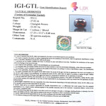 Load image into Gallery viewer, 15.24/CT Natural Govt. Lab Certified Gomed-2331