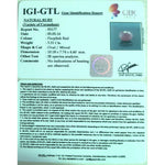 Load image into Gallery viewer, 3.67 Ratti Natural Mozambique Ruby with Govt. Lab Certificate-{7881)