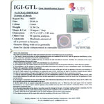 Load image into Gallery viewer, 11.36/CT Natural Panna Stone with Govt. Lab Certificate (12210)