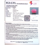 Load image into Gallery viewer, 5.05 Ratti Natural Mozambique Ruby with Govt. Lab Certificate-(23310)