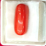 Load image into Gallery viewer, 12.62/CT Natural Red Coral With Govt. Lab Certificate