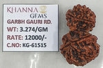 Load image into Gallery viewer, 3.270 Gram Natural Garbh Gauri Rudraksha with Govt. Lab Certificate-KG61515