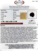 Load image into Gallery viewer, 2.820 Gram Natural Three Mukhi Rudraksha with Govt. Lab Certificate-KG615112
