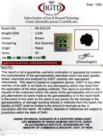 Load image into Gallery viewer, 2.630 Gram Natural Three Mukhi Rudraksha with Govt. Lab Certificate-KG615119