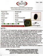 Load image into Gallery viewer, 0.910 Gram Natural Two Mukhi Rudraksha with Govt. Lab Certificate-KG615128