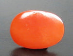 Load image into Gallery viewer, 1.38/CT Natural Japanees Coral With Govt. Lab Certificate (6200)