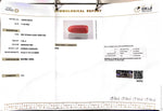 Load image into Gallery viewer, 7.36/CT Natural Red Coral With Govt. Lab Certificate
