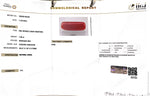 Load image into Gallery viewer, 7.96/CT Natural Red Coral With Govt. Lab Certificate